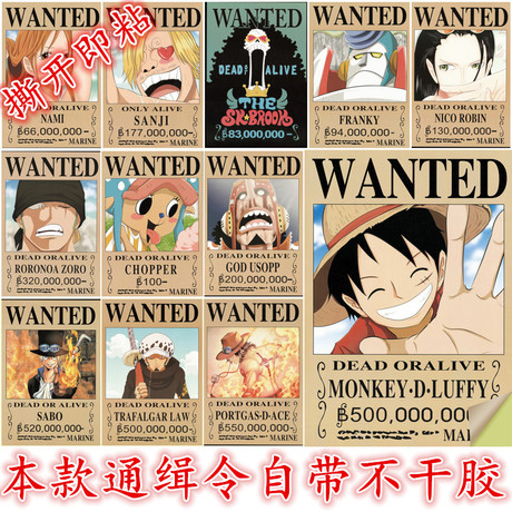 cfa证书猫舍